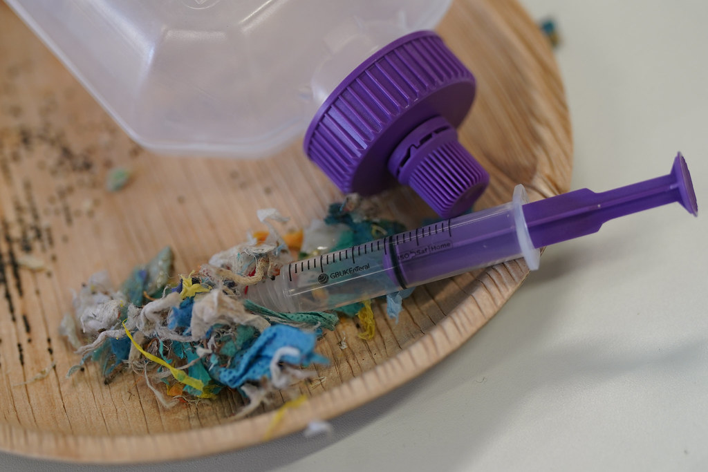A syringe and a feed bottle arranged on a plate with shredded plastic